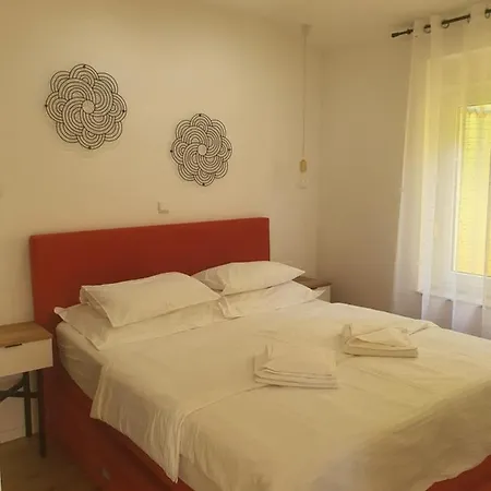 Maslina * Crikvenica