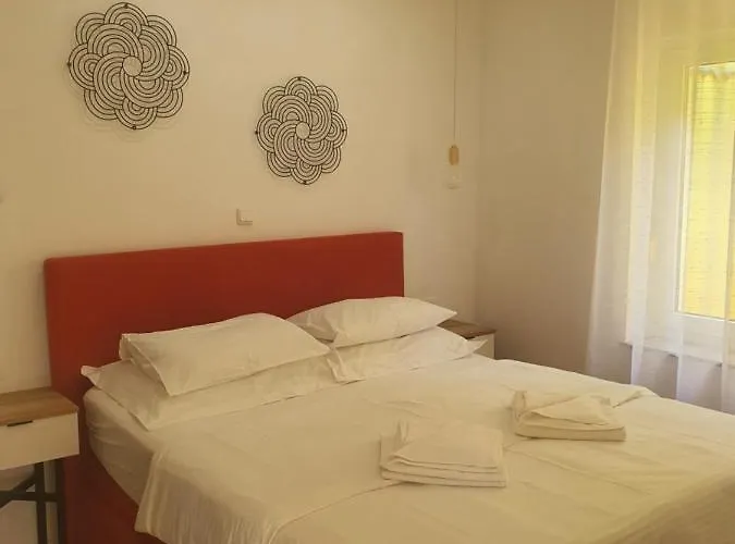 Maslina * Crikvenica